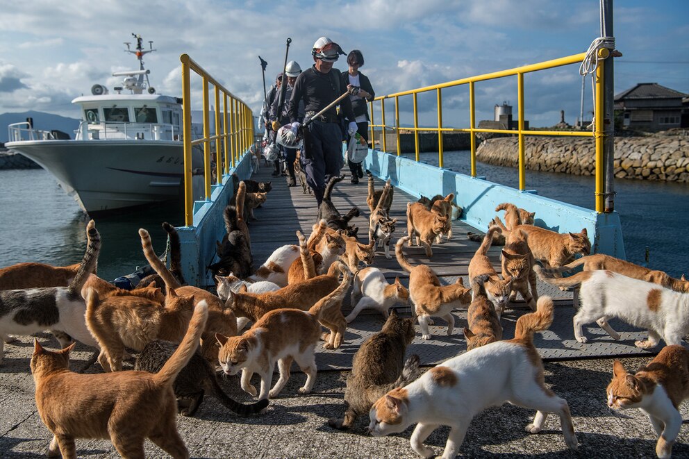 Imagen real de la isla.